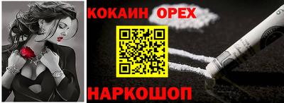 стафф Кингисепп