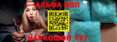стафф Кингисепп