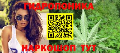 ALPHA PVP Кимры
