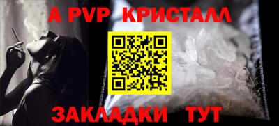 стафф Кингисепп