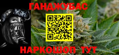 стафф Кингисепп