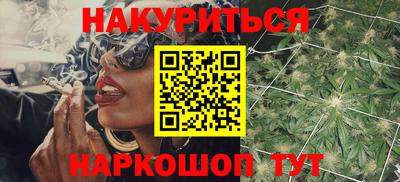 стафф Кингисепп