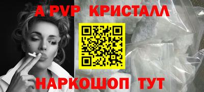 стафф Кингисепп