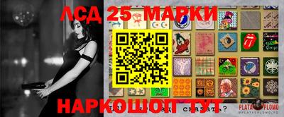 стафф Кингисепп