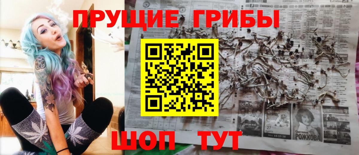 Галлюциногенные грибы ЛСД  Вход с VPN  Галлюциногенные грибы Psilocybe  Красногорск 